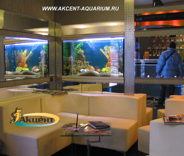 Акцент-аквариум,аквариум 350 литров прямоугольный